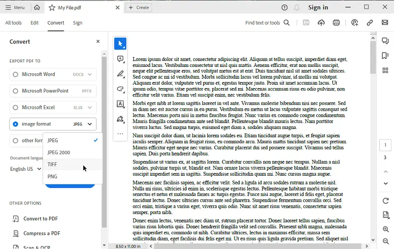 Adobe Acrobat 2